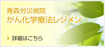 がん化学療法レジメン